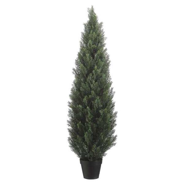 Cedar Topiary in Pot, 60"