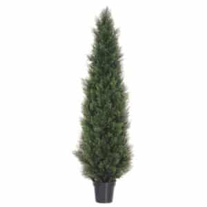 Cedar Topiary in Pot, 72"