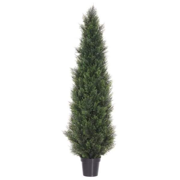 Cedar Topiary in Pot, 72"