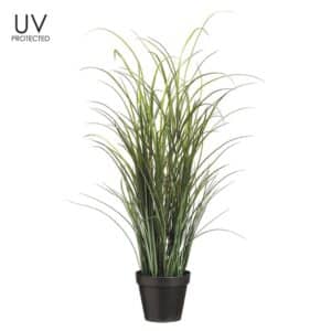 Tall Grass, 36"