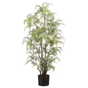Lacy Leather Fern in Pot, 48"