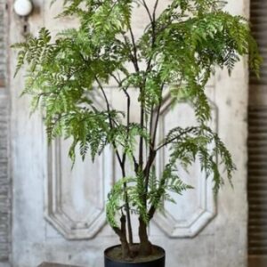 Hillside Grove Tree, 33"