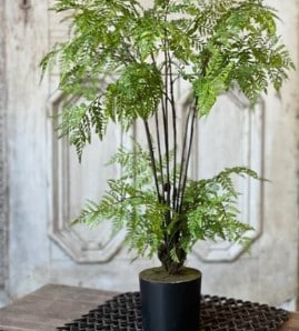Hillside Grove Tree, 25"