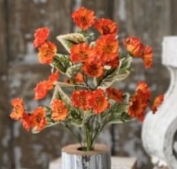Orange Colorscape Poppy