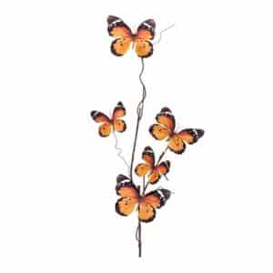Butterfly Spray, Orange