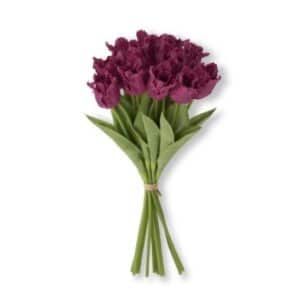 Parrot Tulip Bundle, Fuchsia