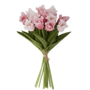Parrot Tulip Bundle, Pink