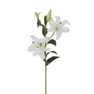 Lily Stem w/3 Blooms, 2 Buds