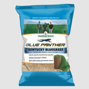 Kentucky Bluegrass Blend Grass Seed 3lb