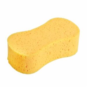 Sponge Peanut Shape