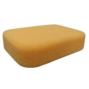 Sponge 6" x 4"
