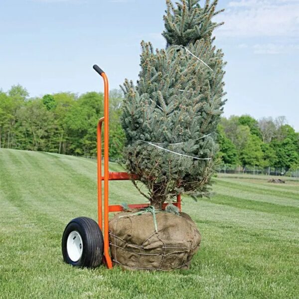 AM Leonard Ball Cart 39" x 63" Orange Heavy - Image 3