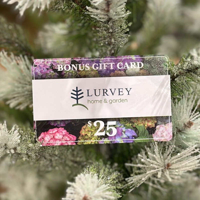 egift card - Image 2