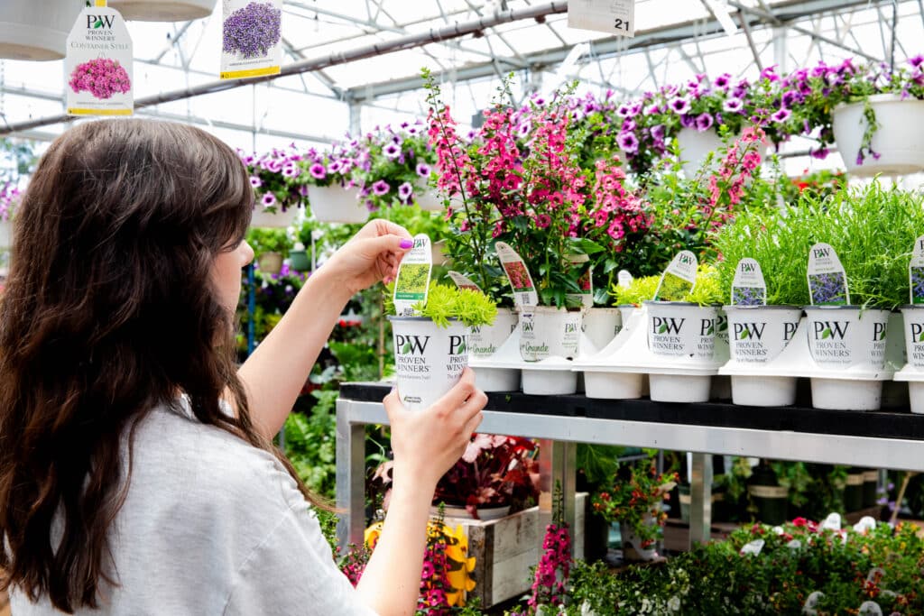 customer shopping seasonal plants