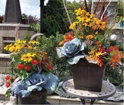 Fall seasonal containers