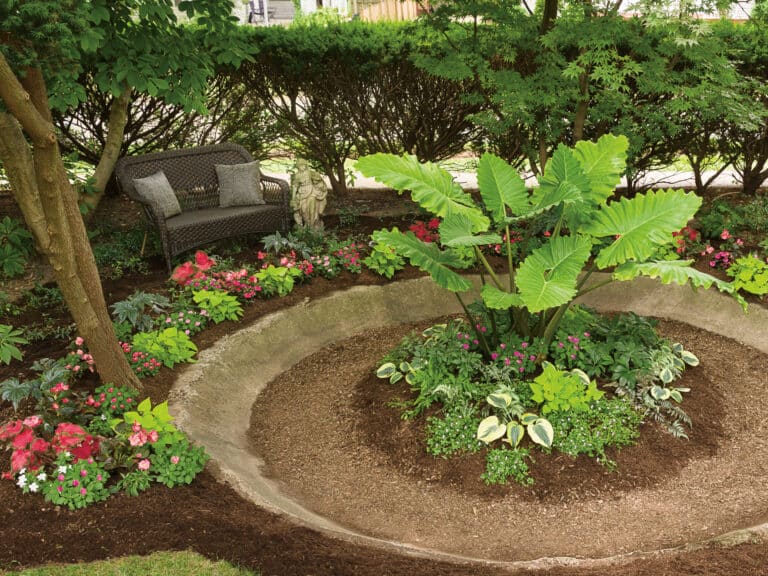 Outdoor midwest garden with beautiful tropical plants