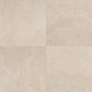 Porcelain Msi Tierra Ivory 24X24