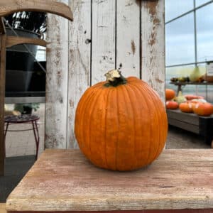 Pumpkin Small Jack O' Lantern