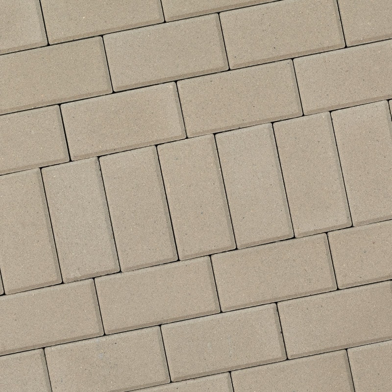 Rochester Holland Chroma Color Bone