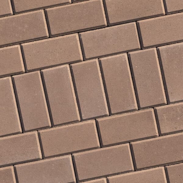 Rochester Holland Chroma Color Mocha