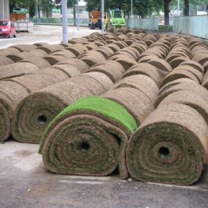 Sod, Lurvey Select Blue BIG ROLL- 300 sq ft roll