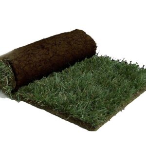 Sod, Salt Tolerant - 10 sq ft roll