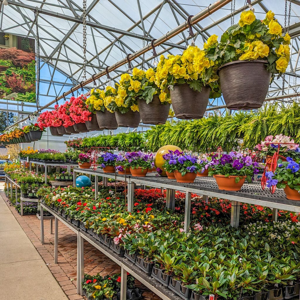 seasonal products offered by Lurvey Landscape Supply