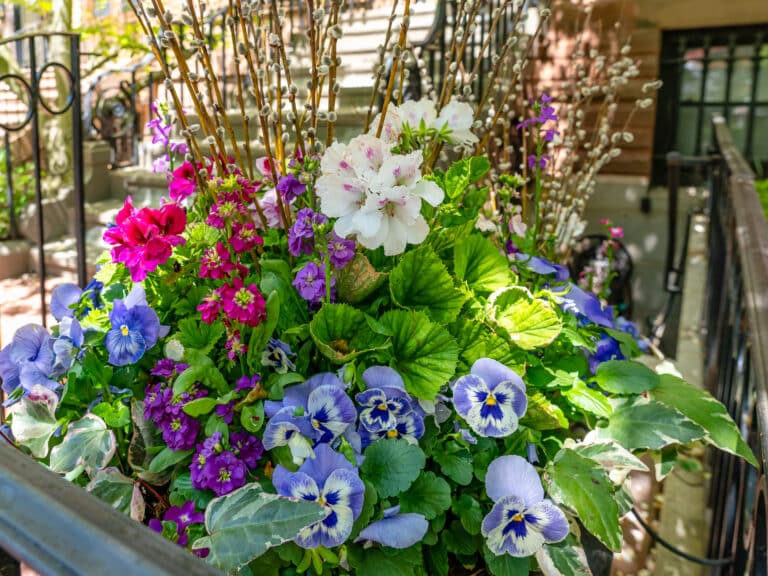 beautiful seasonal container of flowers