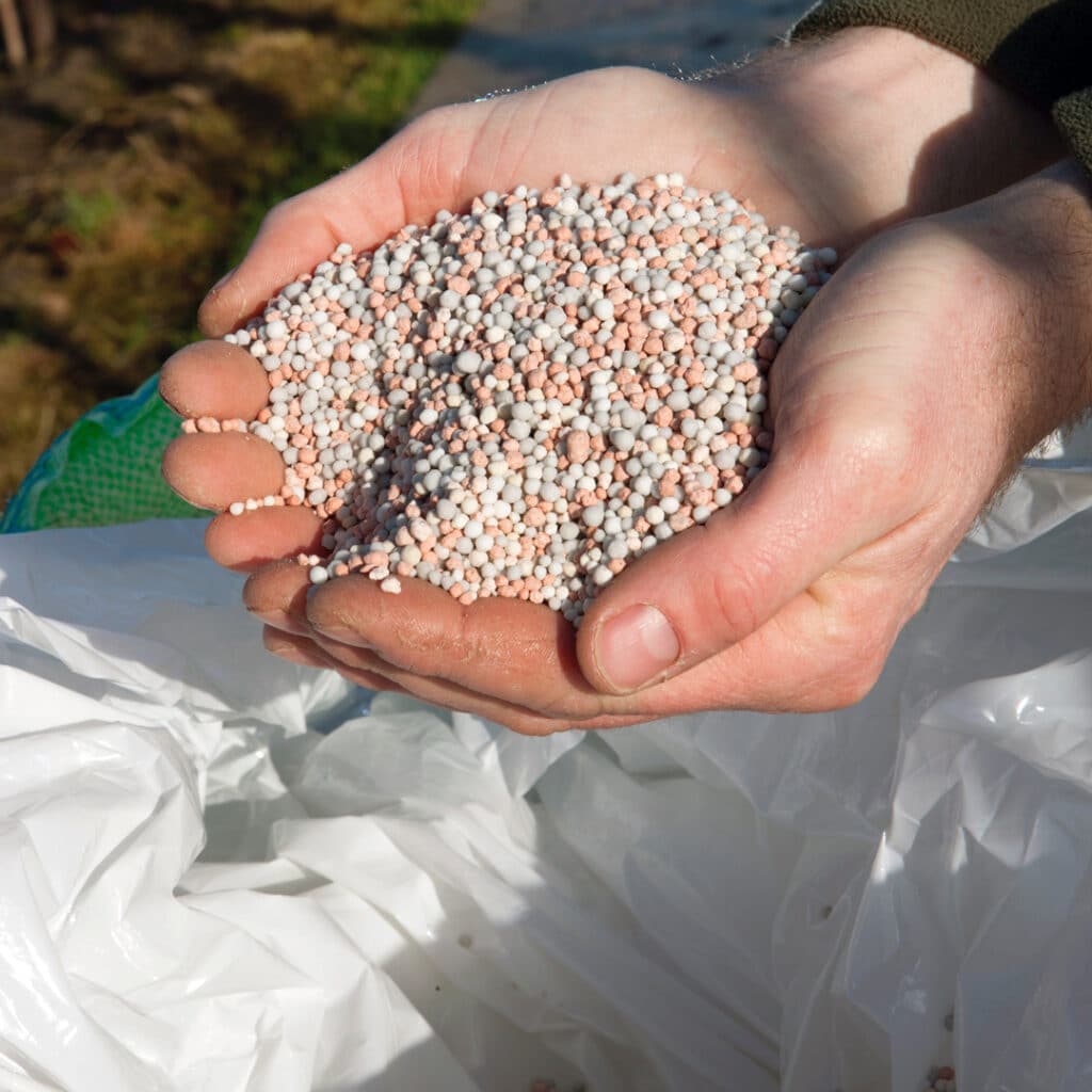 Hands with lawn fertilizer