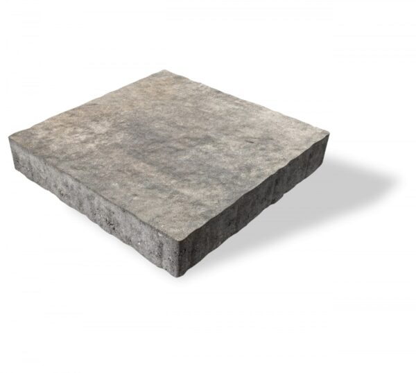 Bristol Valley Random Fossil - Image 3