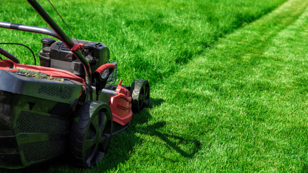 Lawn mower cutting grass.