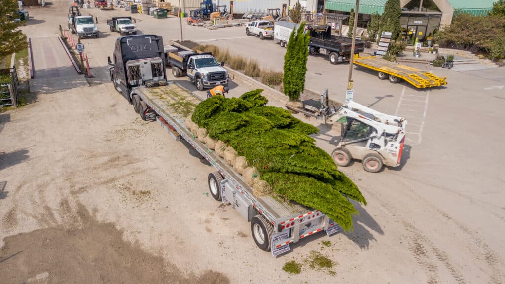 Nursery truck being unloaded at Lurvey Volo