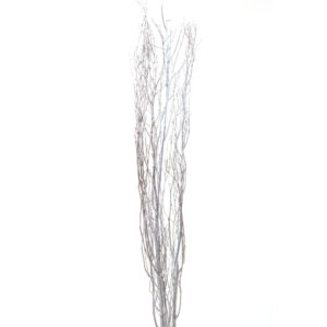 Birch Branch, Slv Glitter 4pc