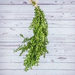 Evergreen Bunch Boxwood