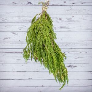 Evergreen Bunch Incense Cedar