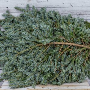 Evergreen Bale Fraser Fir Premium