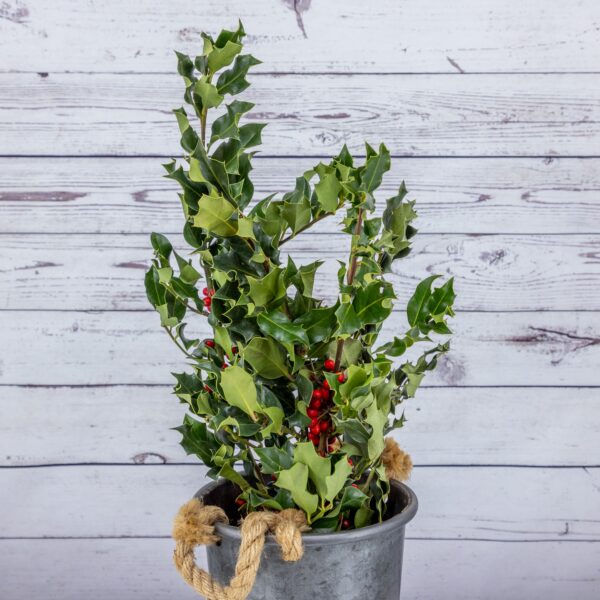 Bouquet Holly Green