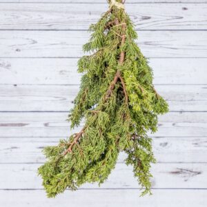 WD-Bunch, Berried Juniper