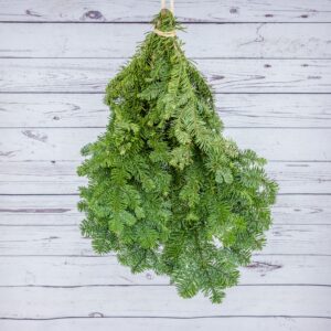 Evergreen Bunch Noble Fir