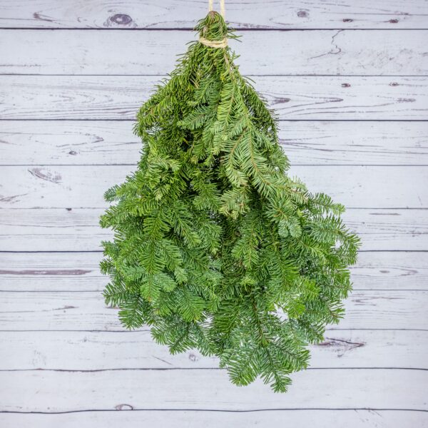 Evergreen Bunch Noble Fir