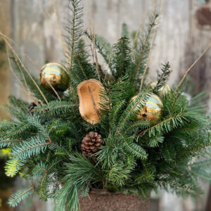 Grab and Go Winter $89.99