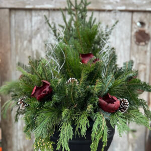 Grab and Go Winter $129.99