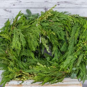 Christmas Roping Mix Premium Classic (Boxed) 25'