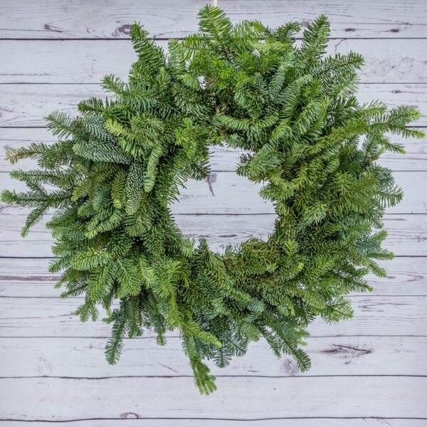Wreath 20" Mixed Noble Fir