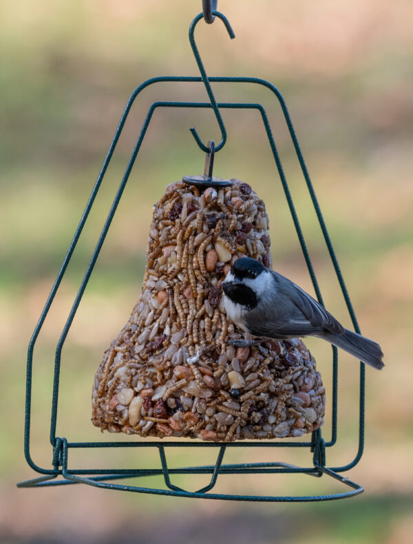 Birdseed Bell Hanger - Image 2