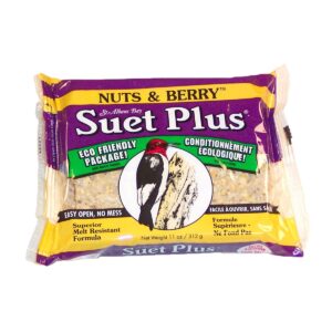 Nut & Berry Suet Cake, 11oz.