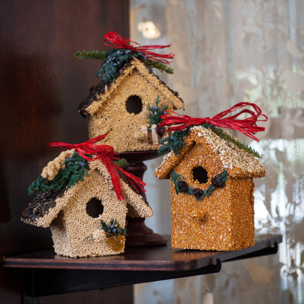 Holiday Birdie Cottage Treat - Image 3