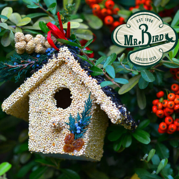 Holiday Birdie Cottage Treat - Image 4