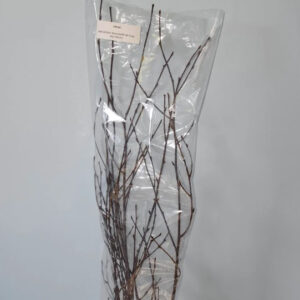 Natural Birch Branch 36-48",4pc