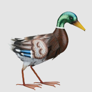 Mallard, Walking